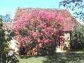 Self catering Gite in Dordogne Aquitaine