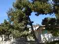 Self catering Apartment in Bouches-du-Rhone Provence-Alpes-Cote-d'Azur