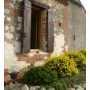 Self catering Gite in Tarn-Garonne Midi-Pyrenees