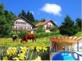 Self catering Chalet in Vosges Lorraine
