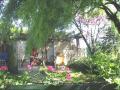 Self catering Gite in Herault Languedoc-Roussillon