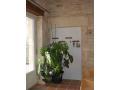 Self catering Gite in Deux-Sevres Poitou-Charentes