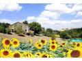 Self catering Cottage in Dordogne Aquitaine